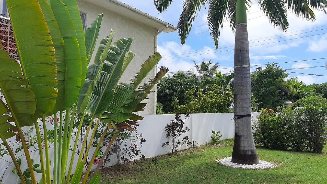 Tropical Gecko Studio - Sweet Jewel Apartments Christ Church Barbados