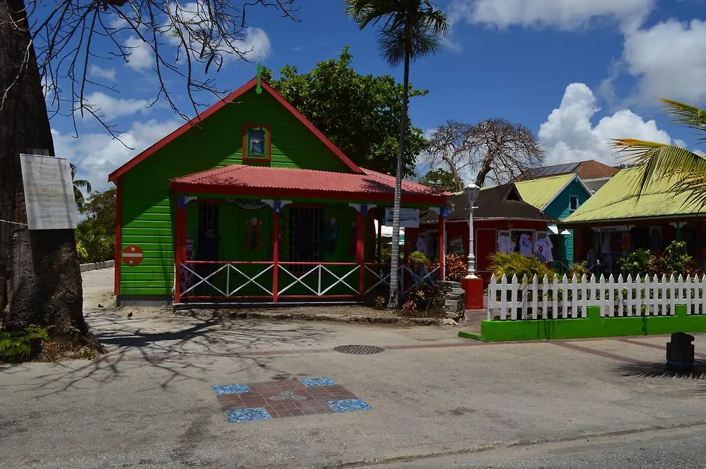 Tropical Gecko Studio - Sweet Jewel Apartments Christ Church