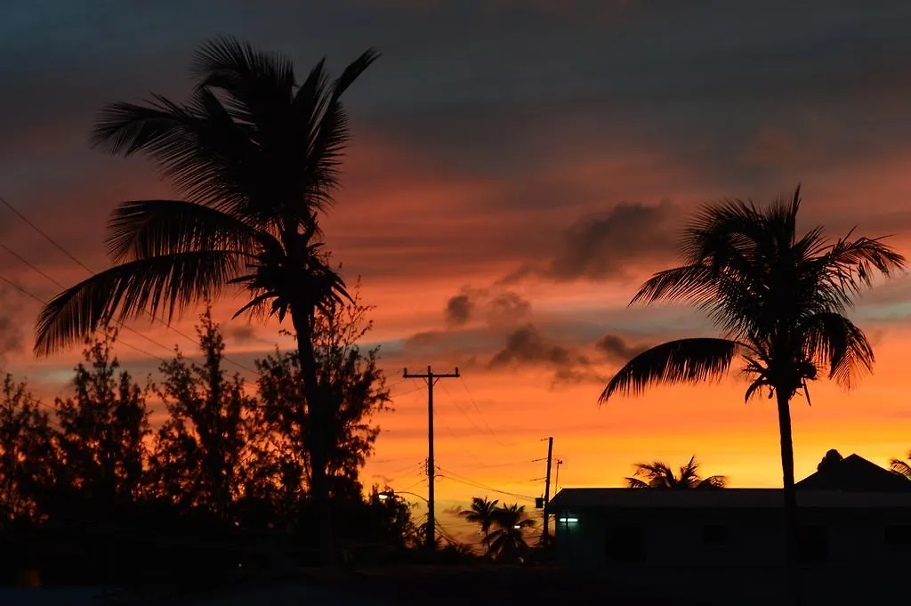 Tropical Gecko Studio - Sweet Jewel Apartments Christ Church Barbados