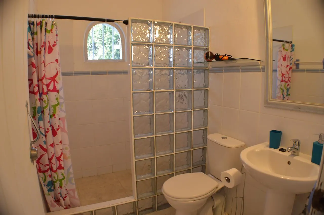 Tropical Gecko Studio - Sweet Jewel Apartments Christ Church 0*,