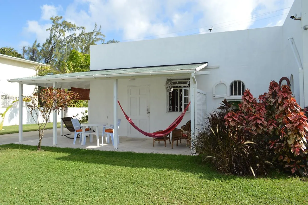 Tropical Gecko Studio - Sweet Jewel Apartments Christ Church