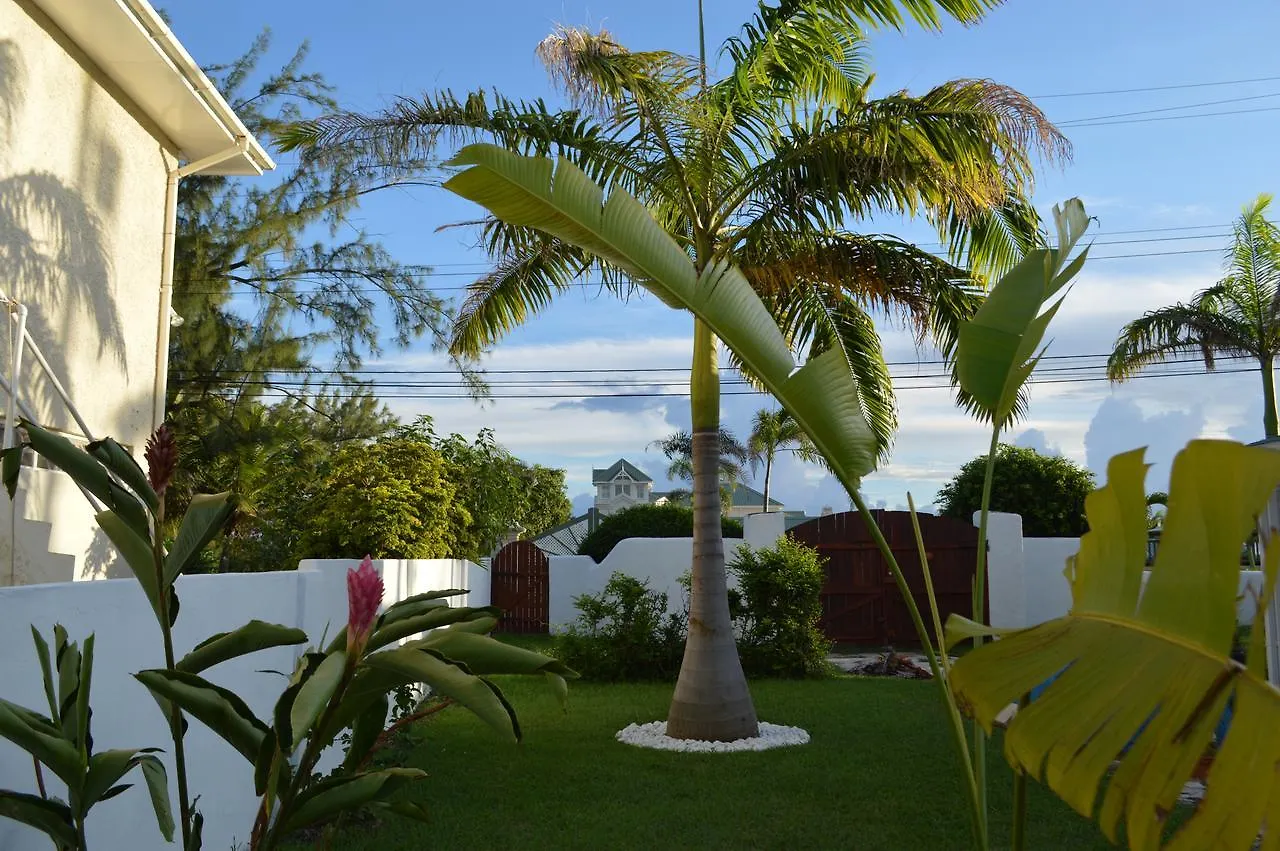 Tropical Gecko Studio - Sweet Jewel Apartments Christ Church