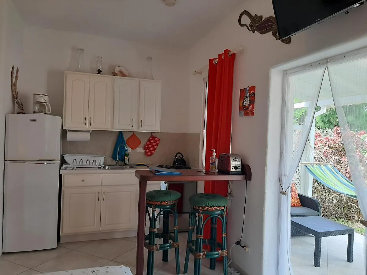 Tropical Gecko Studio - Sweet Jewel Apartments Christ Church Barbados
