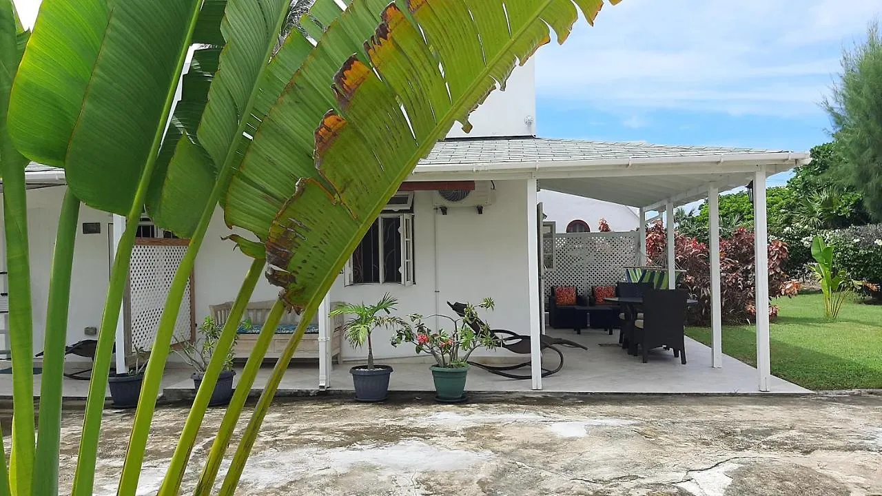 Tropical Gecko Studio - Sweet Jewel Apartments Christ Church Barbados