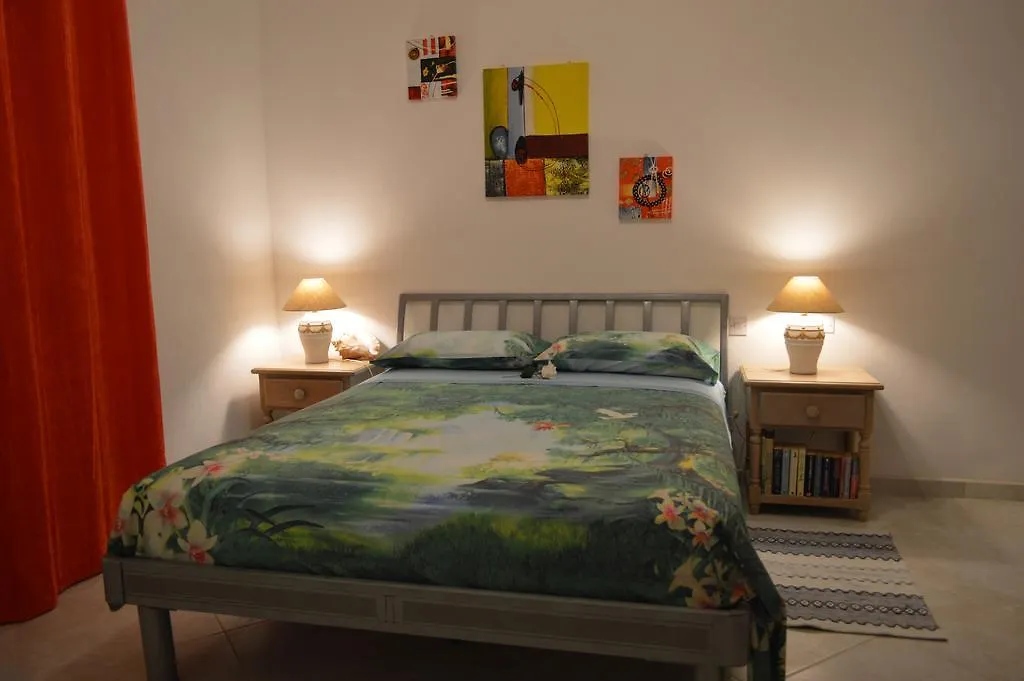 Tropical Gecko Studio - Sweet Jewel Apartments Christ Church