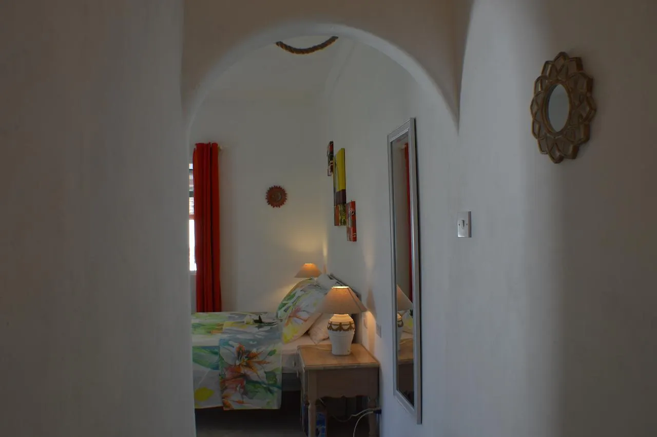 Tropical Gecko Studio - Sweet Jewel Apartments Christ Church