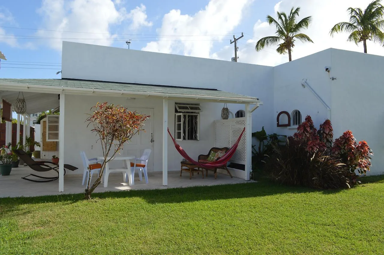 Tropical Gecko Studio - Sweet Jewel Apartments Christ Church